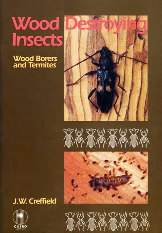 Wood Destroying Insects: Wood Borers and Termites | Books Gateway ...