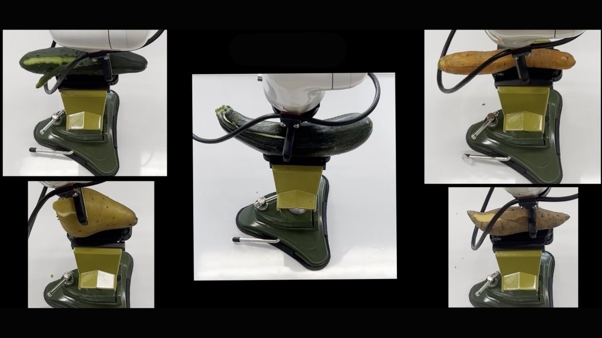 Robots peel and slice curved vegetables and fruits Free