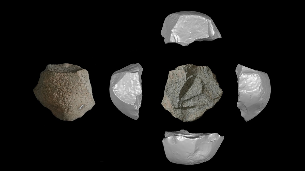 Ice age butcher tools highlight ancient creativity | News | ConnectSci