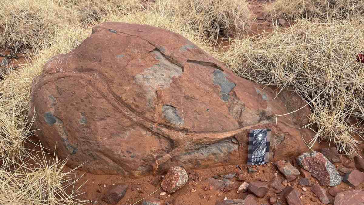 How water helped shape young Earth