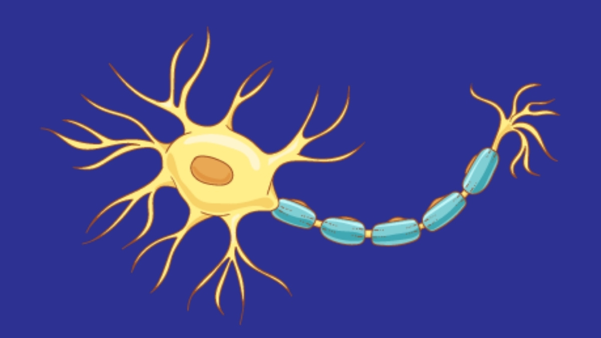 Neurodegeneration changes brain activity during sleep