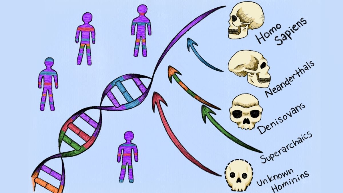Modern humans interbred with unknown “ghost ancestors”