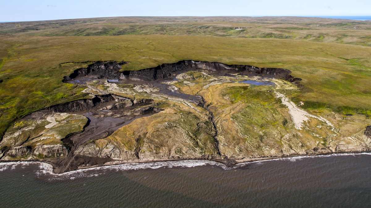 Picky ocean microbes don't prefer carbon from thawing Arctic permafrost